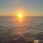 Du Sel A La Vie, Grand Entre Marais Et Ocean باتز سور مير