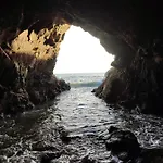 Du Sel A La Vie, Grand Entre Marais Et Ocean