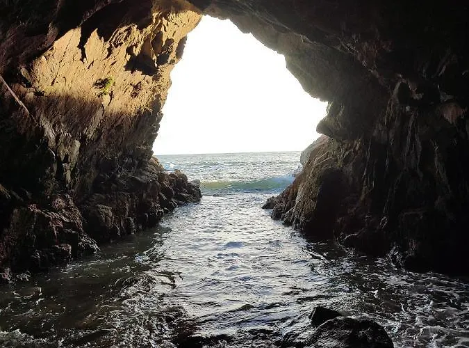 Du Sel A La Vie, Grand Entre Marais Et Ocean
