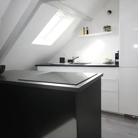 Du Sel A La Vie, Grand Entre Marais Et Océan Appartement *