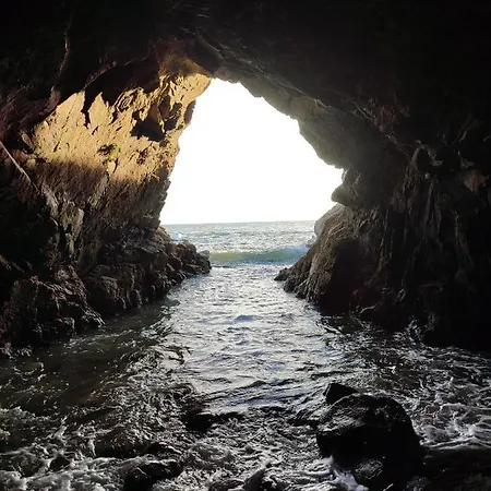 Du Sel A La Vie, Grand Entre Marais Et Ocean
