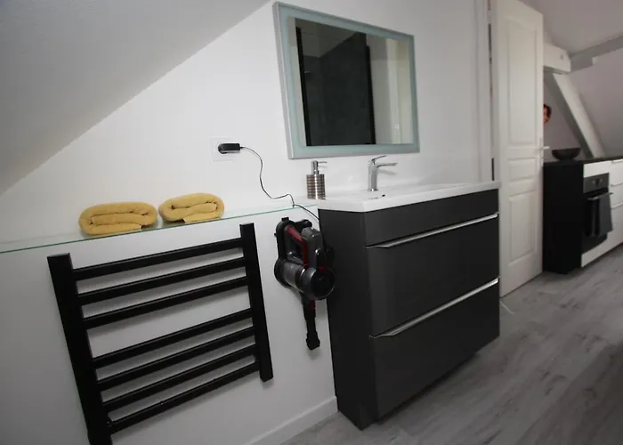 Du Sel A La Vie, Grand Entre Marais Et Ocean Appartement