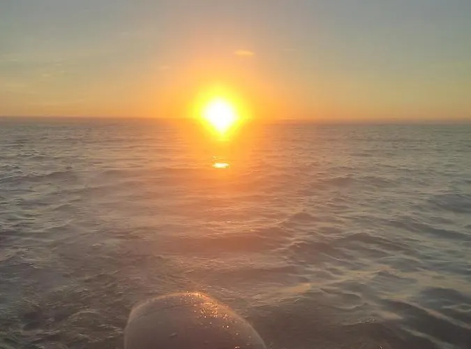 Du Sel A La Vie, Grand Entre Marais Et Ocean Batz-sur-Mer